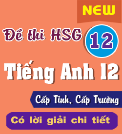 Đề thi Học Sinh Giỏi Tiếng Anh cấp Tỉnh, cấp Trường 2024 - 2025